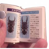 mini-book-3